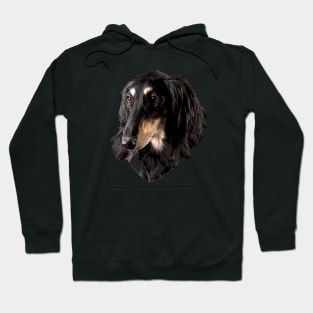 Saluki Dog Hoodie